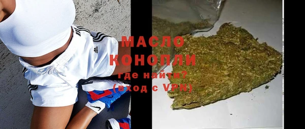крисы Бородино