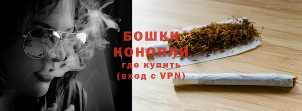 крисы Бородино