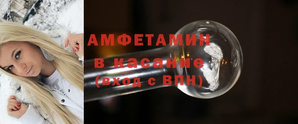крисы Бородино