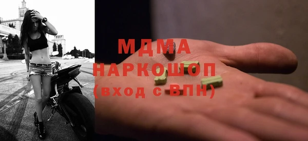 крисы Бородино