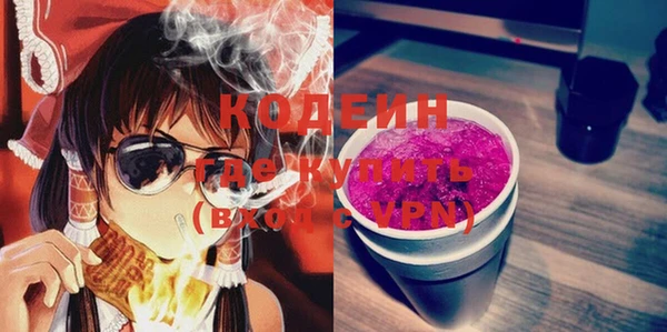 крисы Бородино