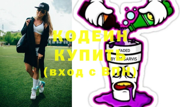 крисы Бородино