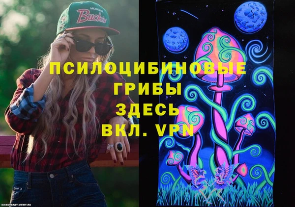 крисы Бородино