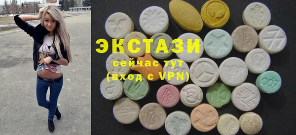 крисы Бородино