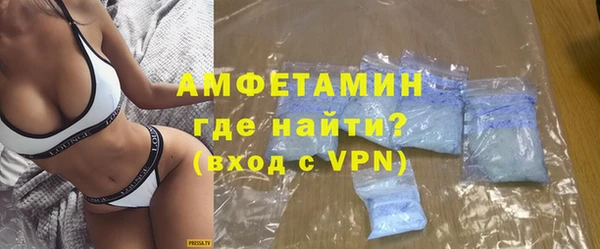 крисы Бородино